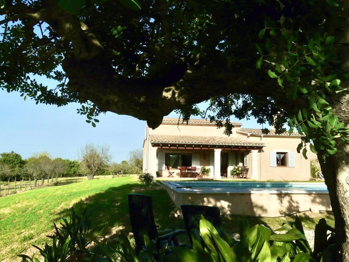 Mallorca Countryside With Pool And Nature * Inca (Mallorca)